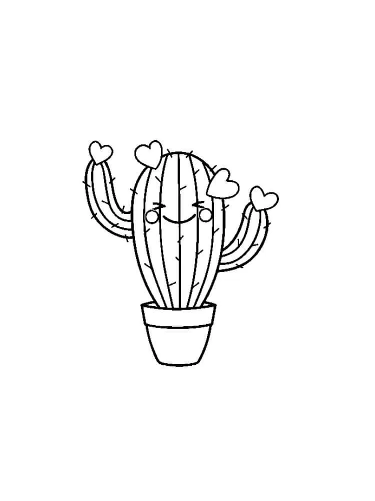 Cactus 46